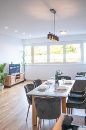 Dream Apartment in Wels mit Netflix & Stellplatz